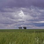 Asaja Cuenca pide ayuda para mitigar los daños por tormentas