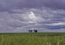 Las últimas lluvias reducen la falta acumulada de precipitaciones en un 5%
