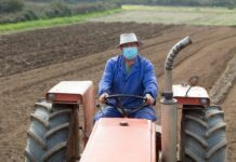 Agricultores rechazan el acuerdo de la PAC por perjudicar su sistema productivo