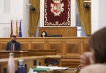 PP y Cs critican la línea de ayudas al olivar por «Filomena» y Junta defiende que es una actuación «contundente»