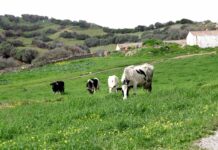 La UE encara su cuarto día de negociaciones de la PAC con pocas esperanzas de acuerdo