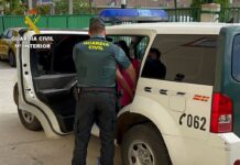 La Guardia Civil detiene a tres personas que estafaban a través de Internet con falsas adopciones de gatos