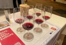 La DO La Mancha promociona la sostenibilidad de sus vinos en Asia