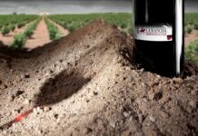 La DO La Mancha convoca el concurso para el cartel de la III Fiesta de la vendimia