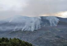 Cuatro medios aéreos menos para la campaña de lucha contra incendios en un verano que se prevé caluroso