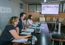 El sector del vino podrá pedir la ayuda de 206 millones para paliar pérdidas por el virus