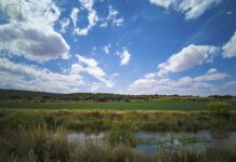 CHG elabora el borrador del documento de actualización del Plan Especial de Sequía