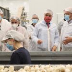 El ajo morado de Las Pedroñeras como punta de lanza del sector por la economía social