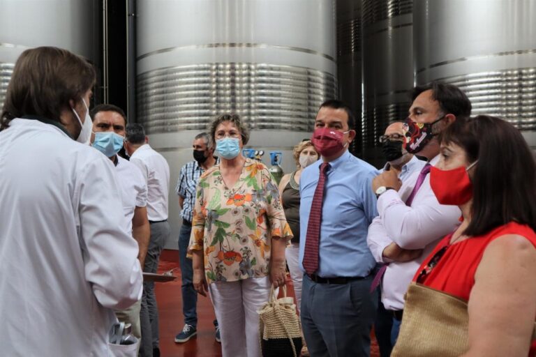 «Cada vez que vendemos una botella en cualquier mercado, estamos generando más de siete veces más valor que con un vino a granel»