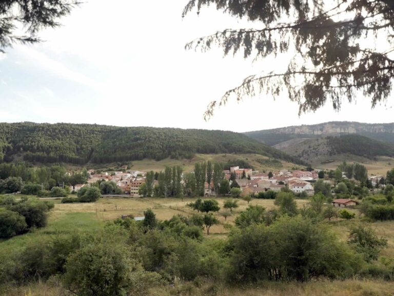 La transición ecológica como oportunidad para el medio rural La transición ecológica como oportunidad para el medio rural