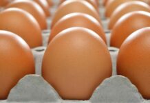Castilla-La Mancha impulsa la creación del Centro Tecnológico del Huevo en Marchamalo