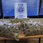 Desmantelado en Cuenca un laboratorio de grandes dimensiones destinado a la producción intensiva de cannabis