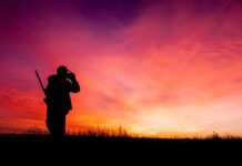 A partir del lunes se podrán presentar alegaciones al decreto que aprueba el Reglamento de la Ley de Caza de C-LM