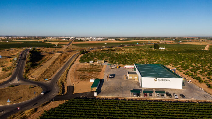 Planta de Almendrun