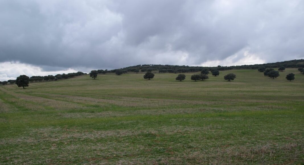 Campo de Montiel 230921