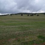 Denuncian ante el Defensor del Pueblo presiones para aprobar la minería de tierras raras