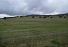 Denuncian ante el Defensor del Pueblo presiones para aprobar la minería de tierras raras