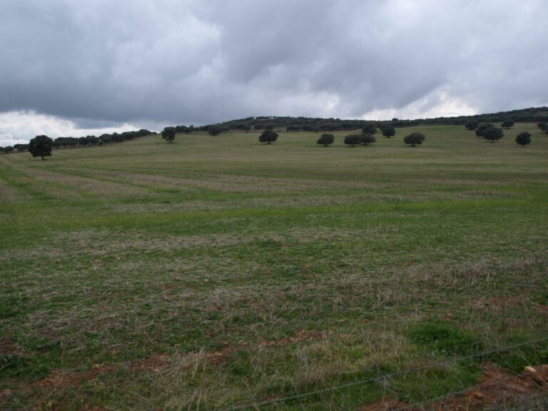 Denuncian ante el Defensor del Pueblo presiones para aprobar la minería de tierras raras