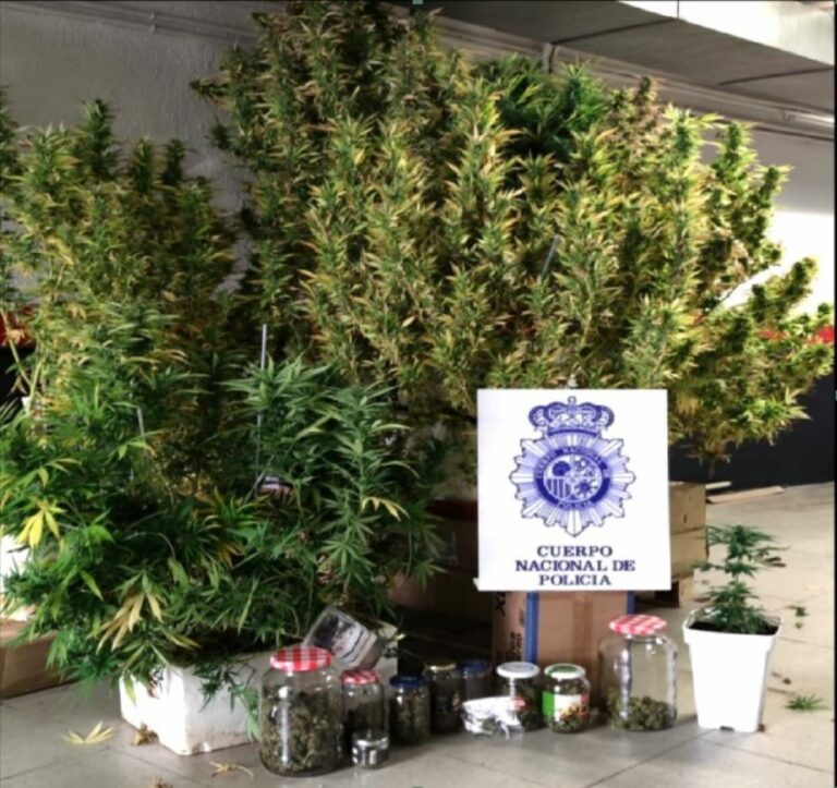 Cultivaba marihuana en las zonas comunitarias de un edificio de Cuenca