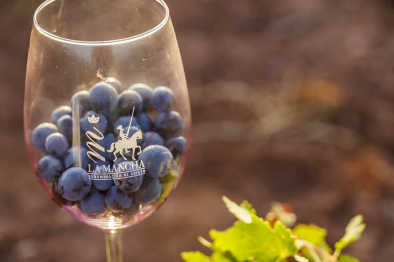 La Denominación de Origen La Mancha entregará sus Premios Joven Solidario 2021 en el Wanda Metropolitano de Madrid