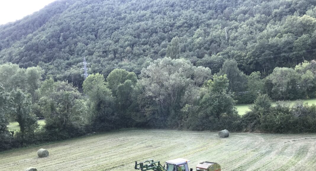 Agricultura / Tractor / PAC