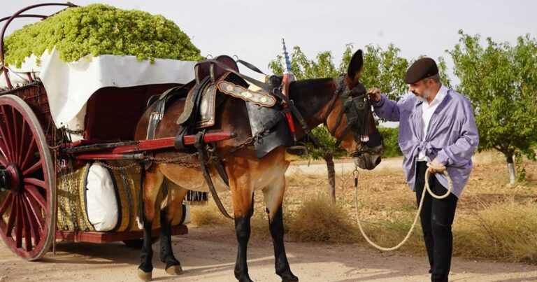Los vinos DO La Mancha ensalzan sus raíces de pasado vinícola