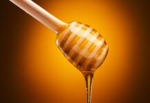 La cosecha de miel de romero en Guadalajara se prevé «buena»