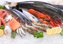 ¿Pescado y marisco para Navidad? Cómo elegir el más saludable y sostenible