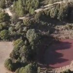 Vuelve el rosa a la laguna de Cañada del Hoyo Foto: CMM Media