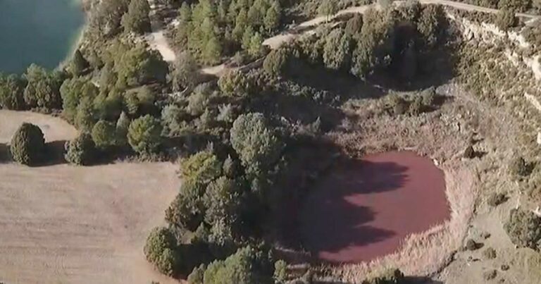 Vuelve el rosa a la laguna de Cañada del Hoyo