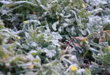 La Aemet prevé nieve para el domingo en el norte de Castilla-La Mancha