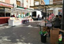 Vuelve el «Día de las Almendrillas» a Bolaños de Calatrava