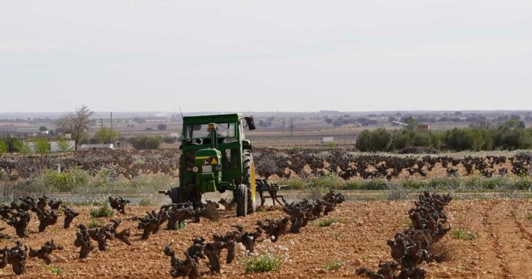 Castilla-La Mancha empieza a pagar el anticipo de la PAC