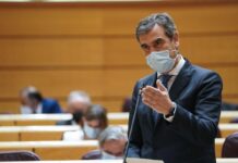 En defensa de la lavanda y su repercusión económica