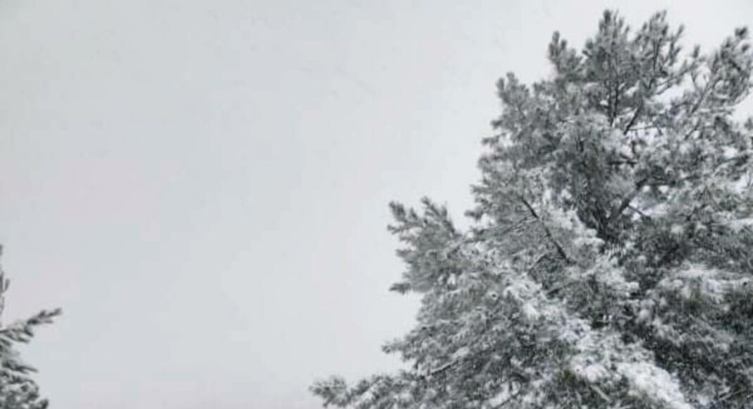 Nieve en Nerpio 050422 (2) Nieve en Nerpio