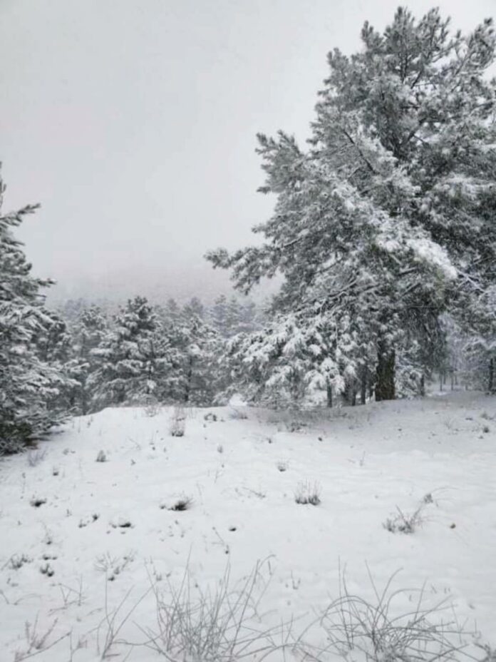 Nieve en Nerpio