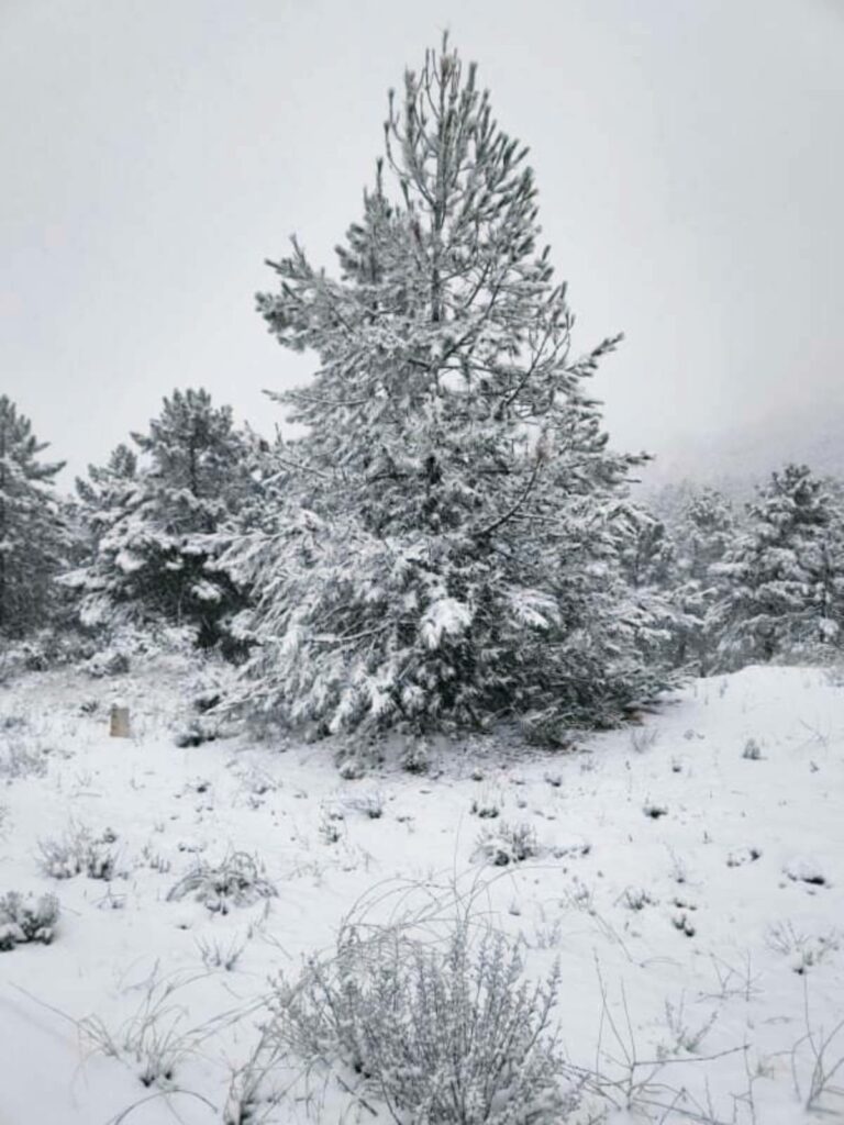 Alerta amarilla por nieve en las provincias de Cuenca y Guadalajara y por frío en Toledo