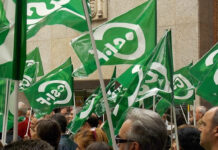 CSIF se concentrará mañana en Ciudad Real para defender la seguridad del personal sanitario