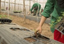 El Gobierno destina 11,88 millones de euros al Plan Anual de Seguros Agrarios