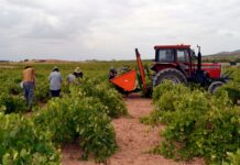 Se destinarán cuatro líneas de subvenciones para el sector cooperativo en Castilla-La Mancha