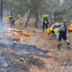 28 medios terrestres y casi 150 efectivos para combatir el fuego en Cañamares
