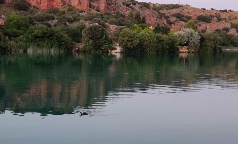 Aparece un turista despistado y de cuatro patas en Las Lagunas de Ruidera