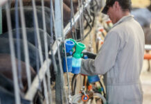 El Ministerio de Agricultura pagará las subvenciones ganaderas directas a partir de octubre