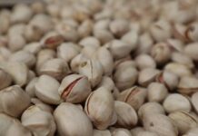 Cooperativas Agroalimentarias quiere vertebrar la comercialización del pistacho ante su inminente «explosión productiva»