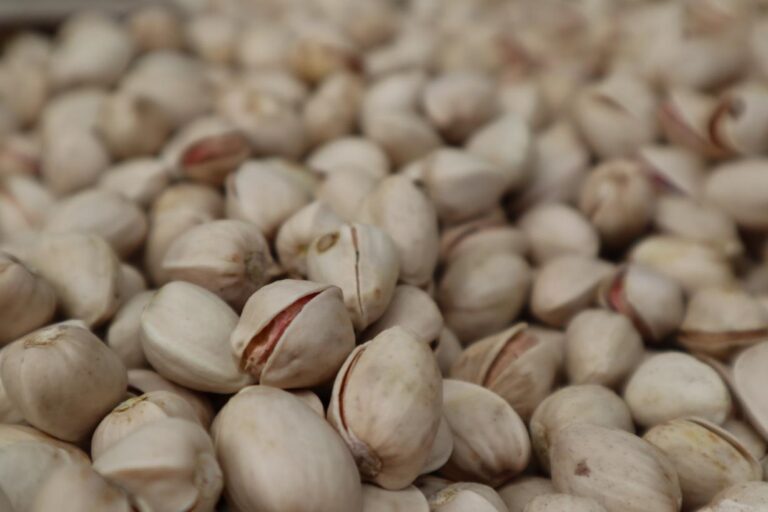 Cooperativas Agroalimentarias quiere vertebrar la comercialización del pistacho ante su inminente «explosión productiva»