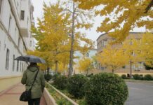 La bajada de temperaturas continúa este lunes en la Península