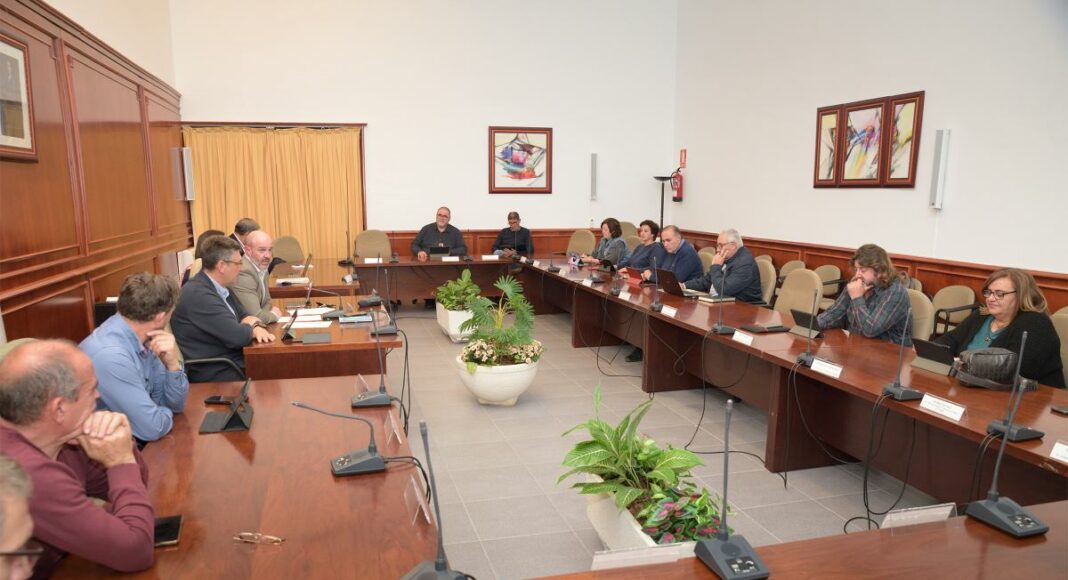 Pleno Comsermancha 111122