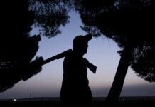 Cazadores piden rigor y datos acreditados en las estadística de perros abandonados