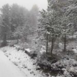 Caen los primeros copos de nieve en la Serranía de Cuenca