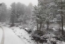 Caen los primeros copos de nieve en la Serranía de Cuenca